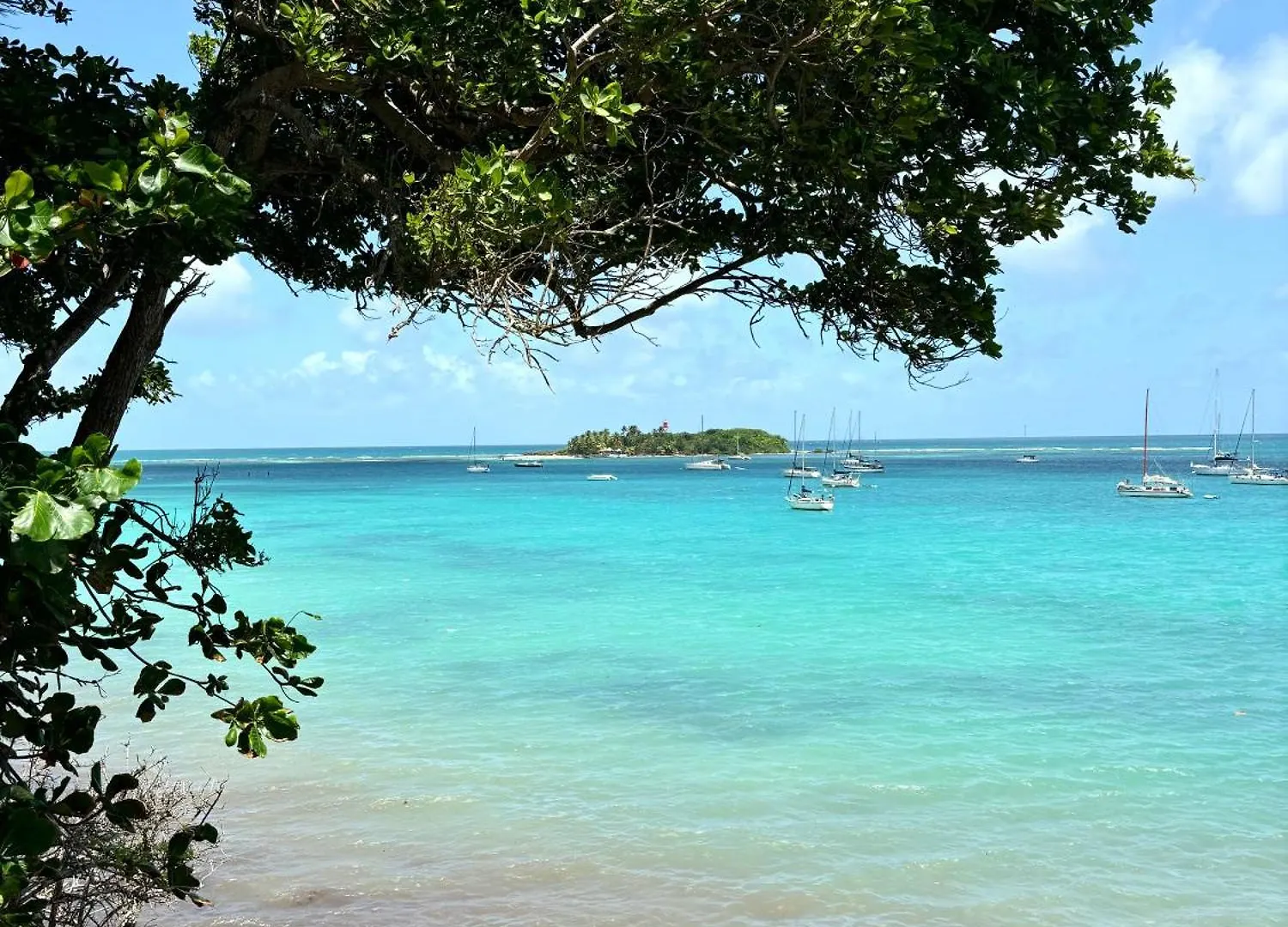 La Perle De La Datcha - A 500M De Plage De La Datcha Et Du Centre Ville Le Gosier